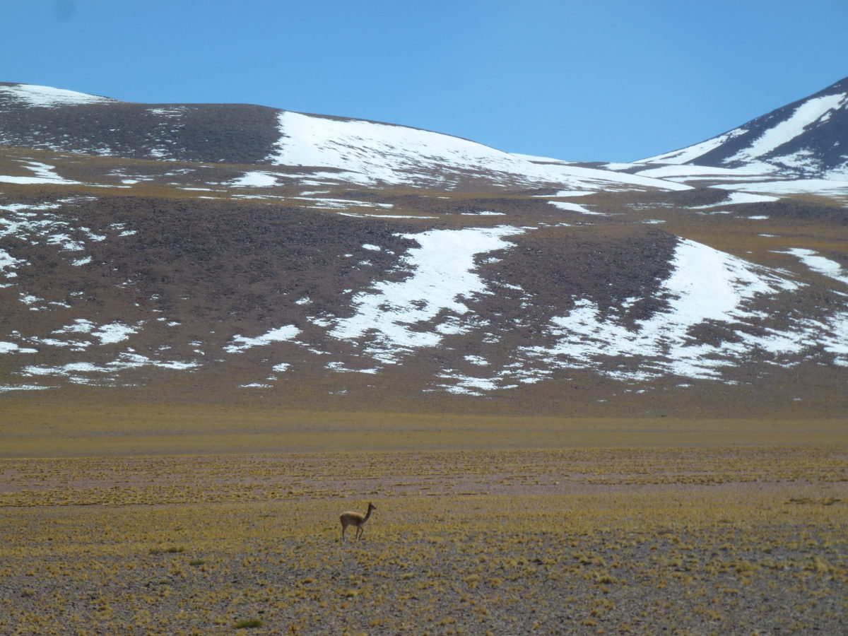 Lagunas