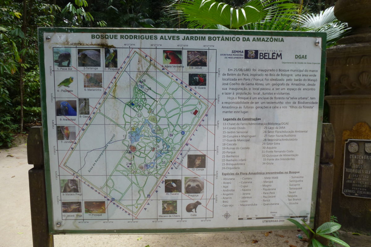 Bosque