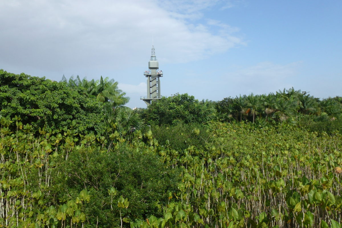 Mangal das Garças