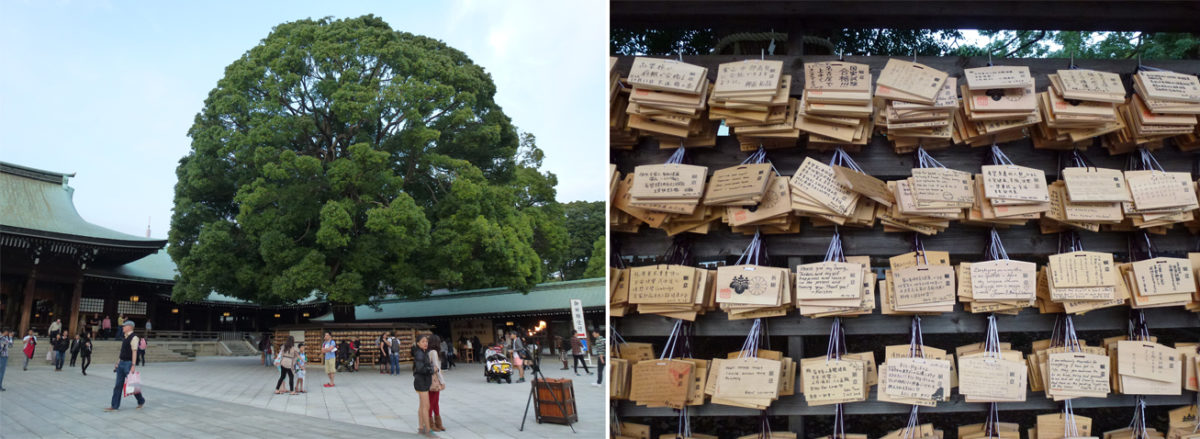 meiji-6