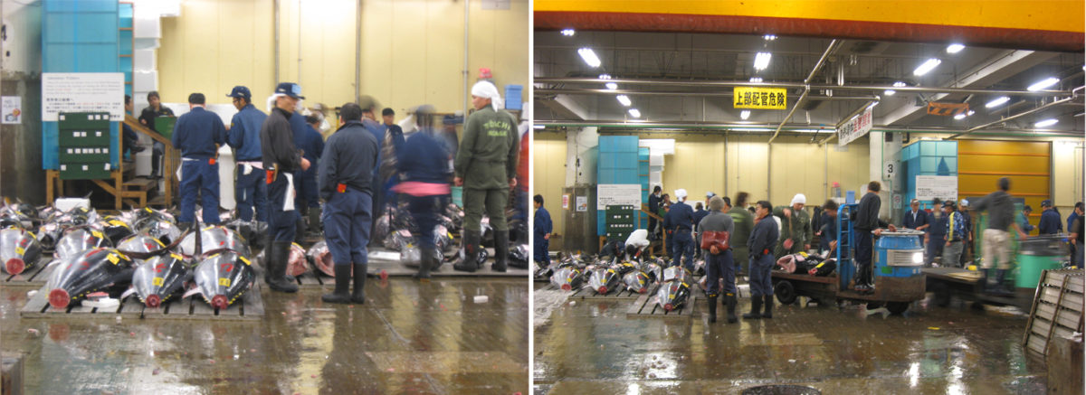 tsukiji-1
