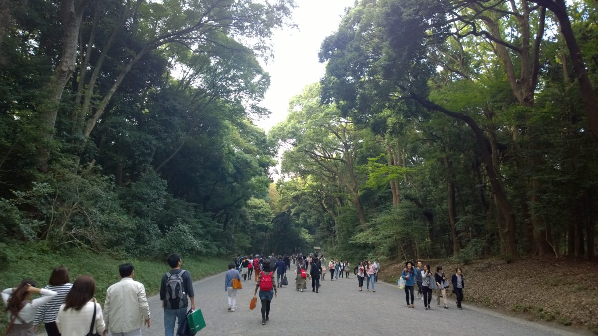 Yoyogi