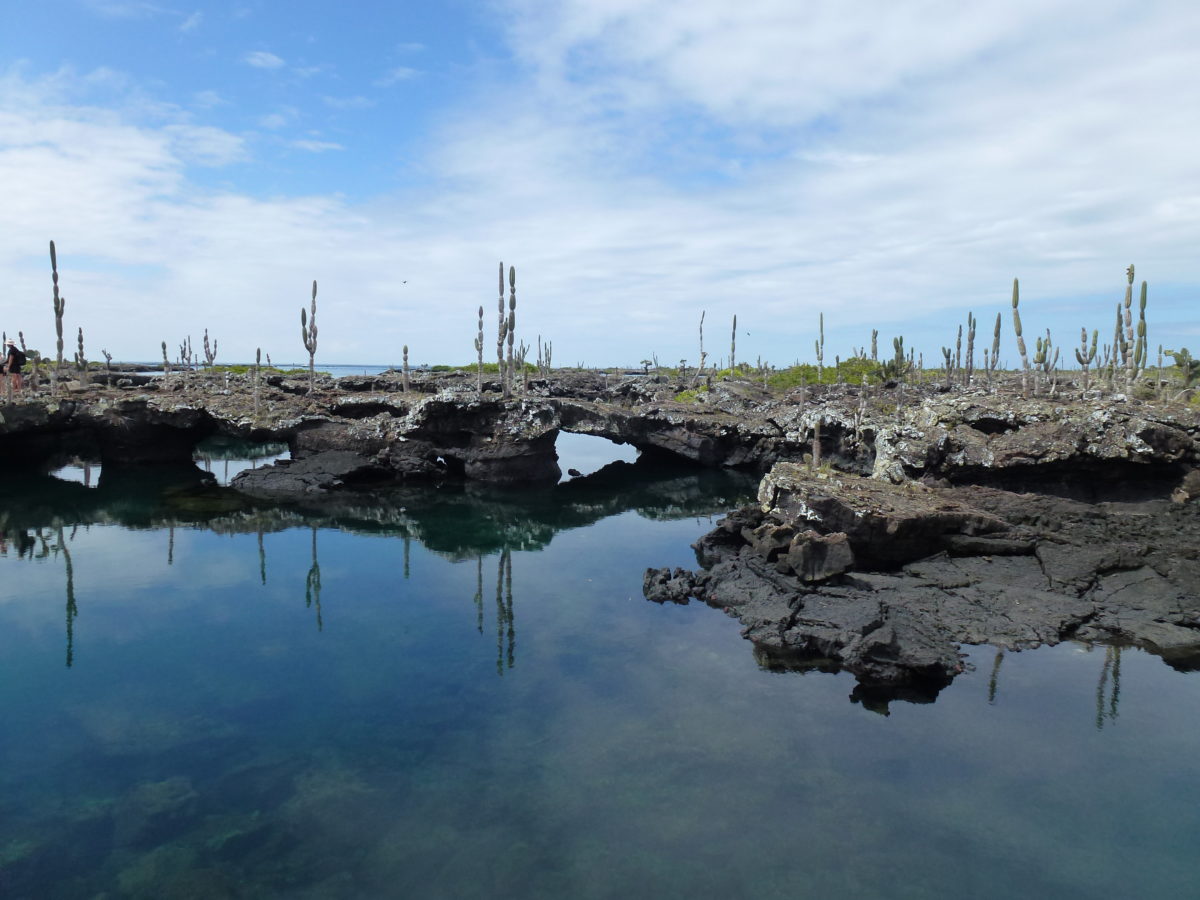Galapagos