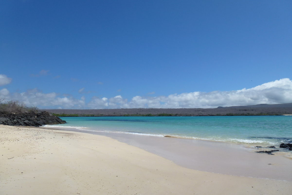 Galapagos