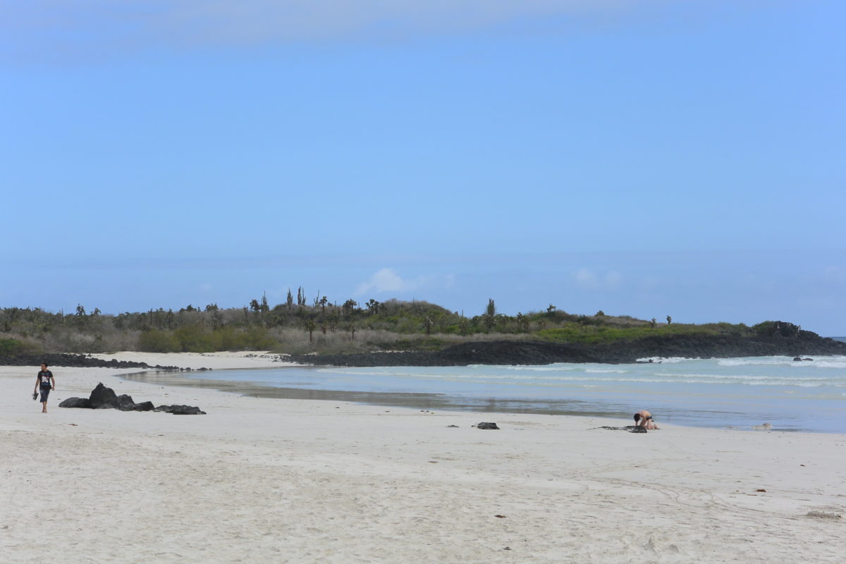 Tortuga Bay