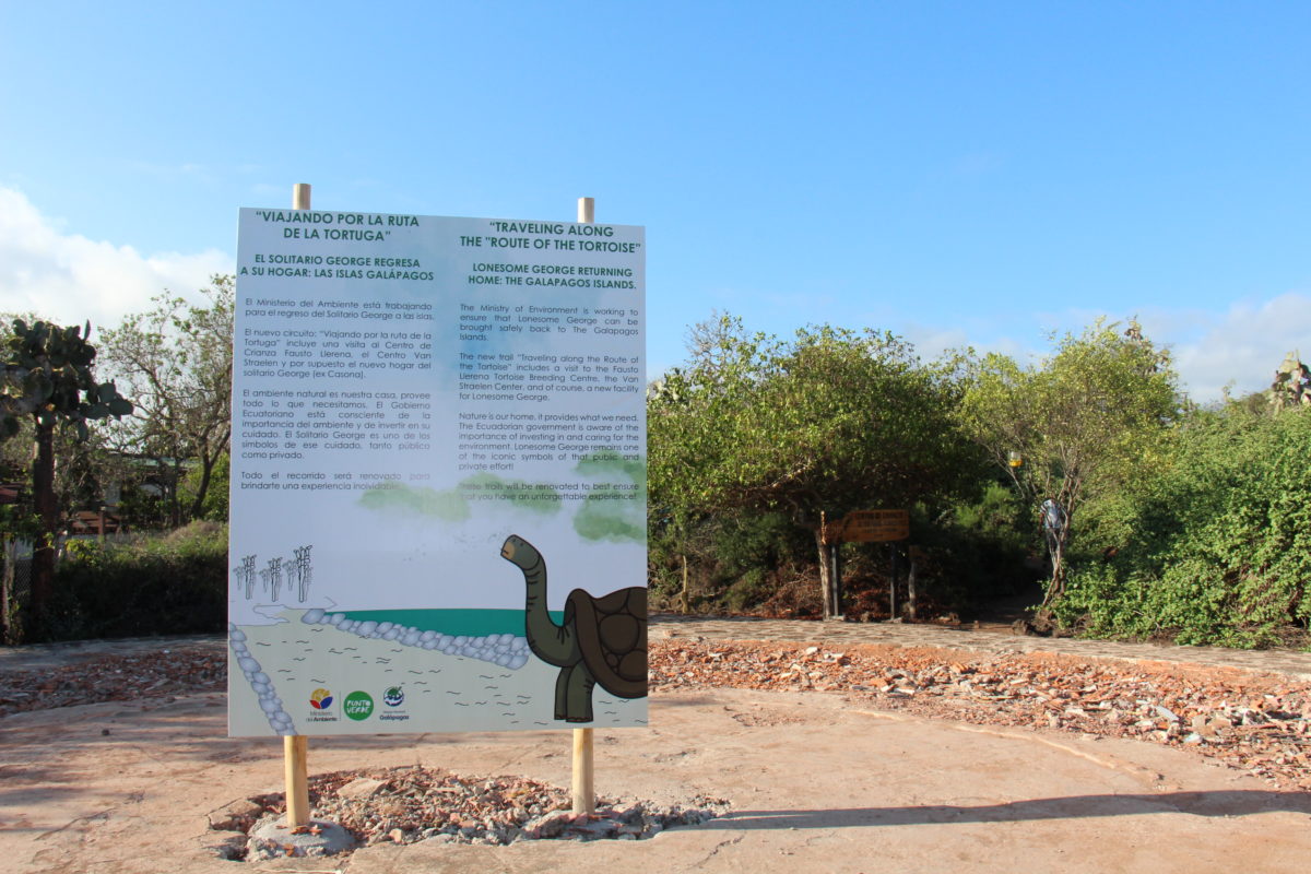 Tortugas Galapagos