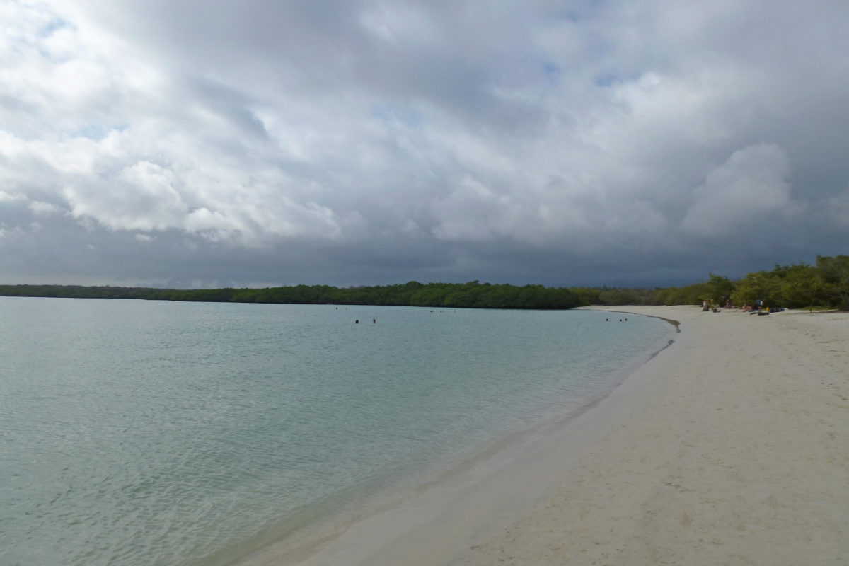 Tortuga Bay