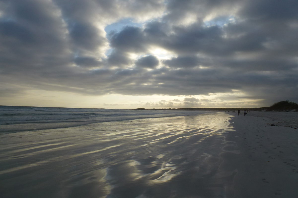 Tortuga Bay