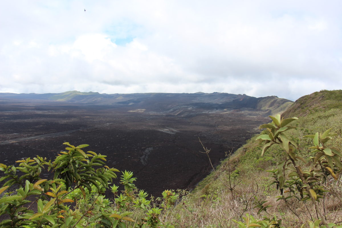 Sierra Negra