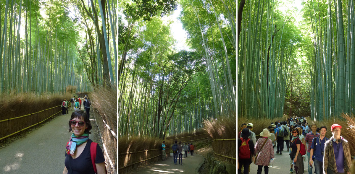 Arashiyama Sagano